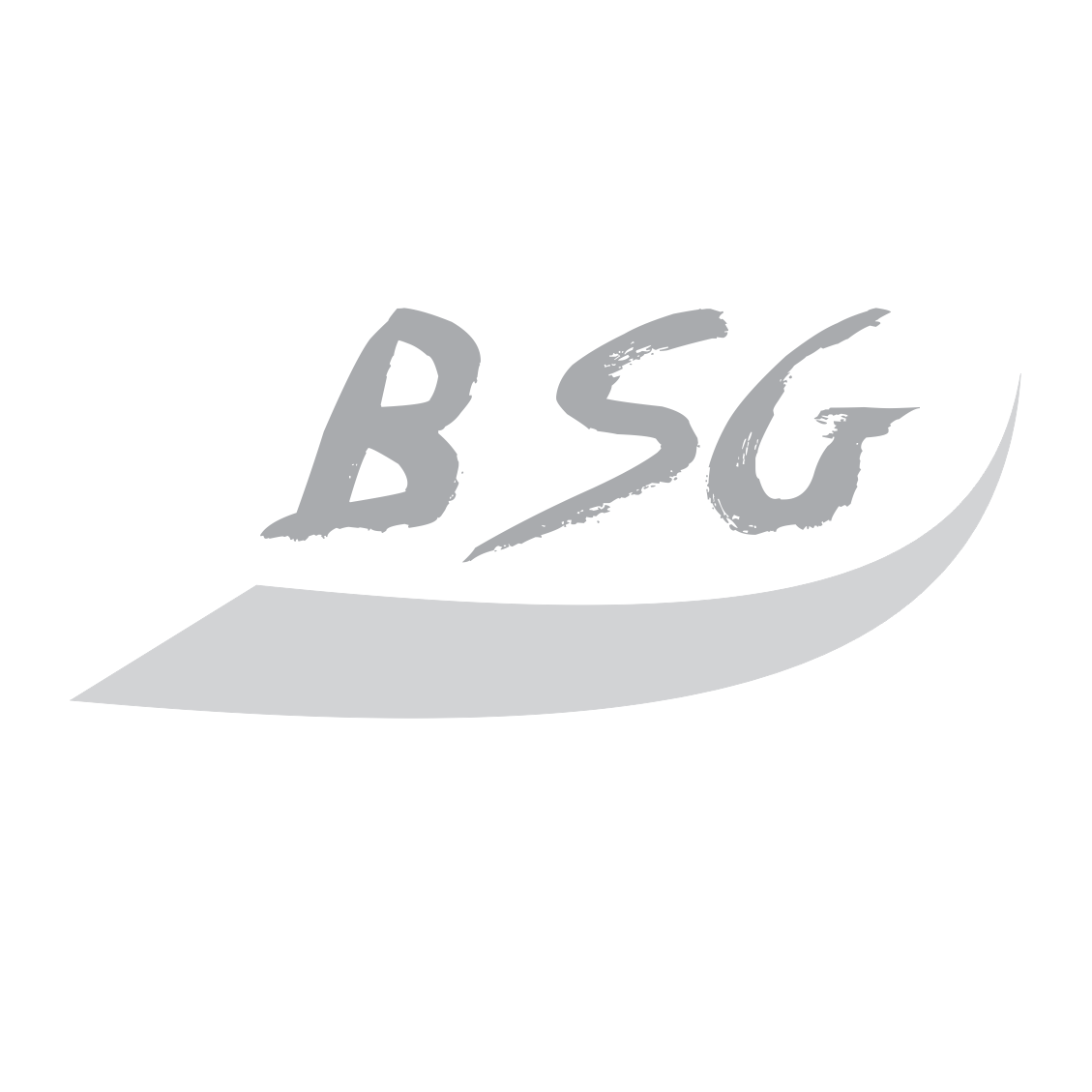 BSG Perú